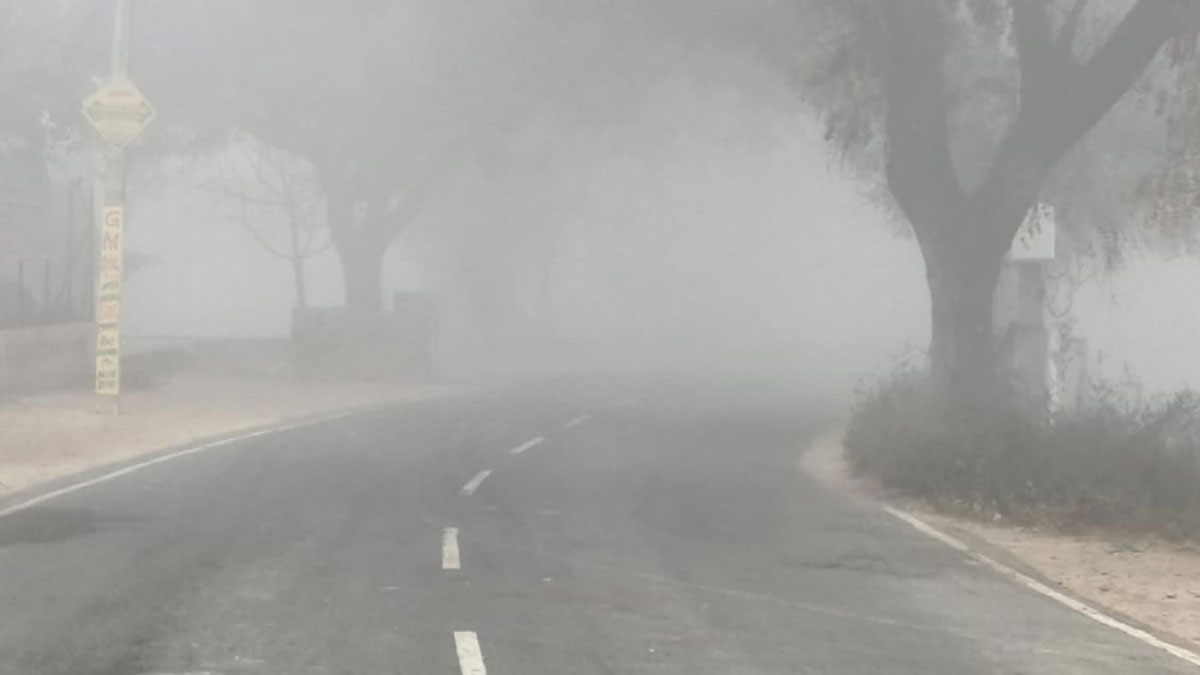 News Article Hero Image