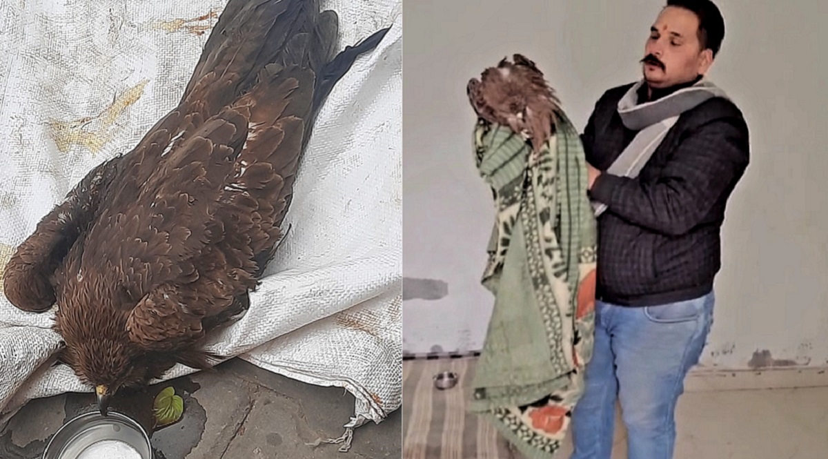 News Article Hero Image