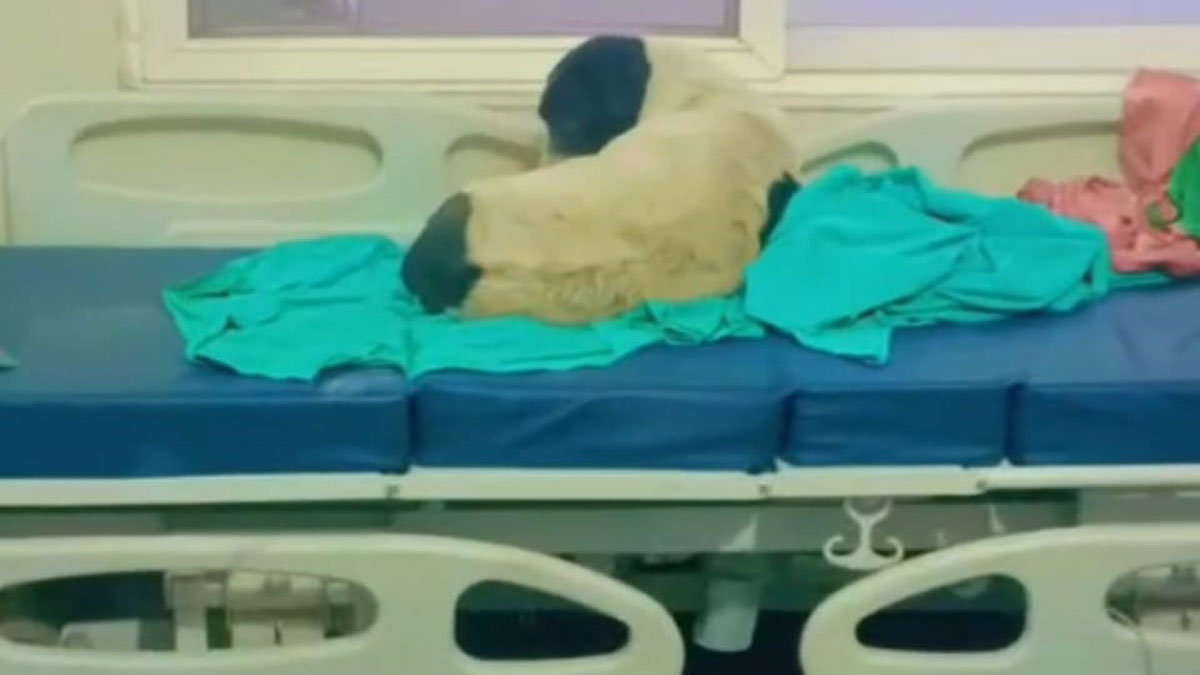 News Article Hero Image