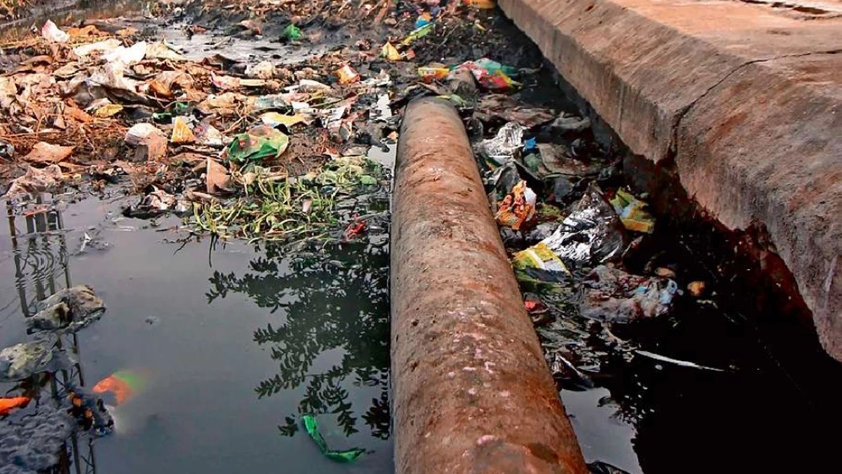 News Article Hero Image