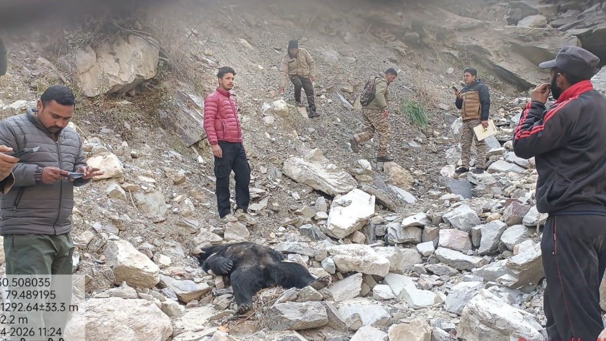 News Article Hero Image