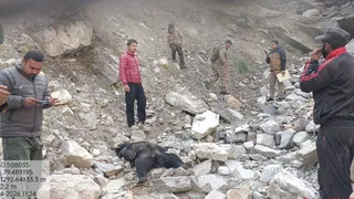गुलाबकोटी नाले में भालू का शव मिलने के बाद मौके पर पहुंची वन विभाग की टीम व स्थानीय लोग।जागरण