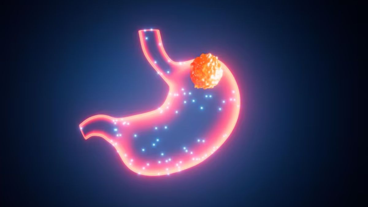 News Article Hero Image