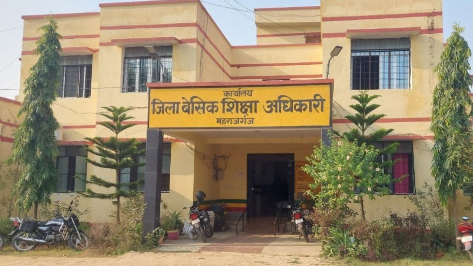 News Article Hero Image