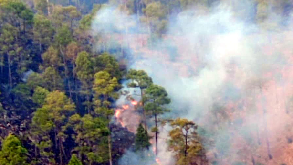 News Article Hero Image