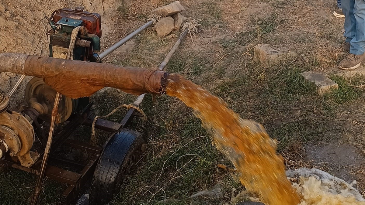 News Article Hero Image