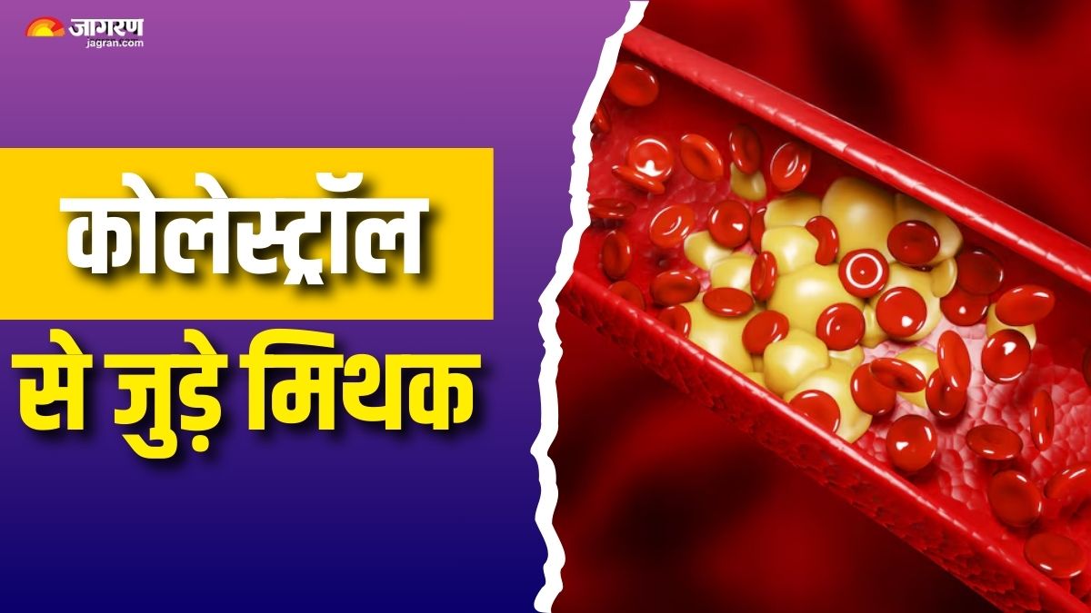 News Article Hero Image