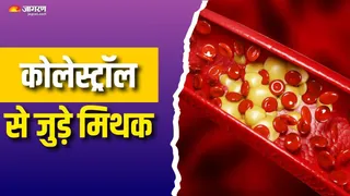आप भी करते हैं कोलेस्ट्रॉल से जुड़ी इन बातों पर यकीन? (Picture Courtesy: Freepik)