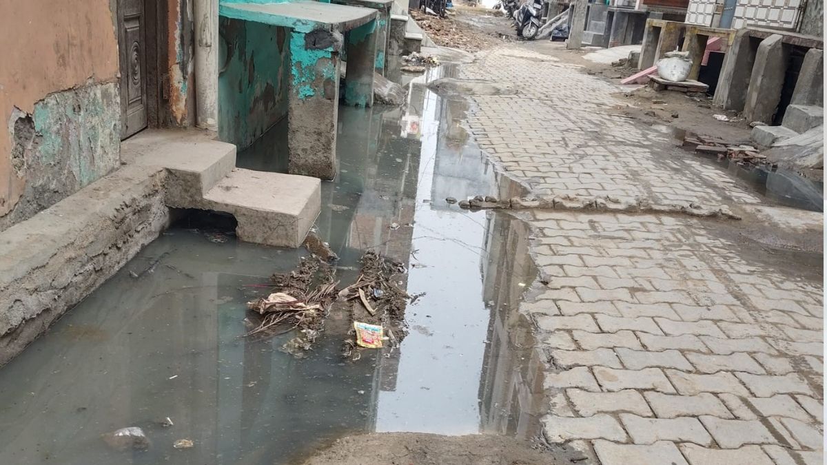 News Article Hero Image