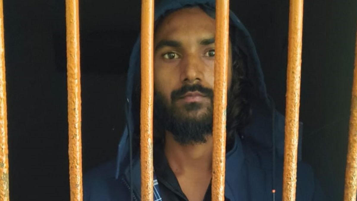 News Article Hero Image