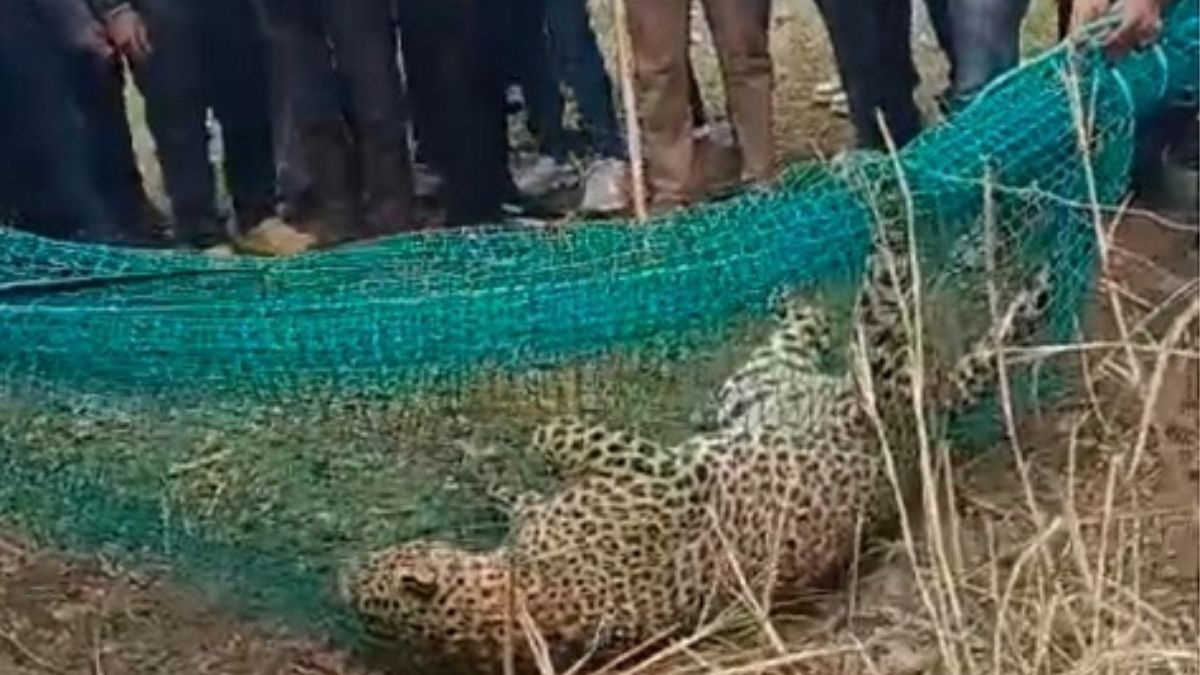 News Article Hero Image