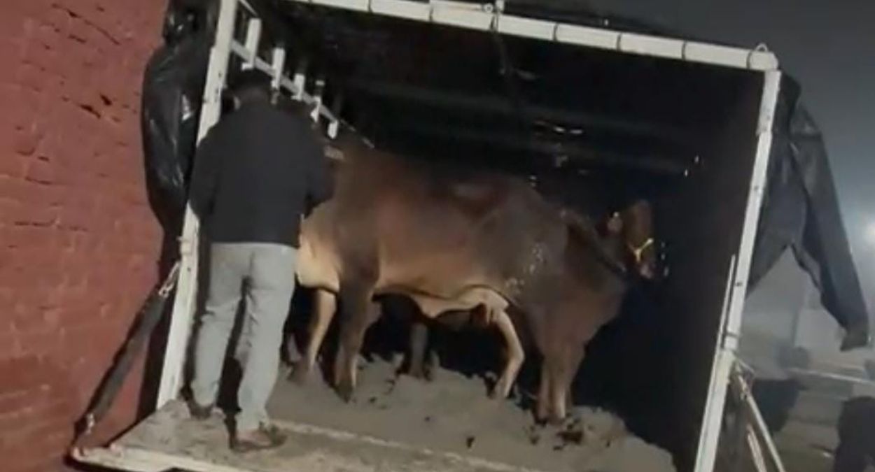 News Article Hero Image