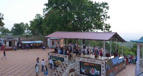 News Article Hero Image