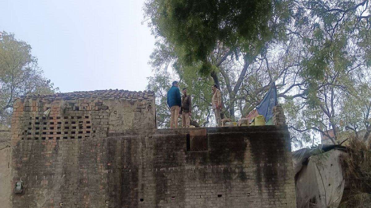 News Article Hero Image