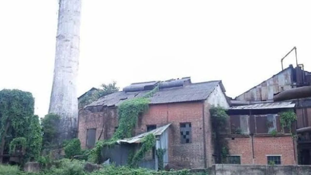 News Article Hero Image