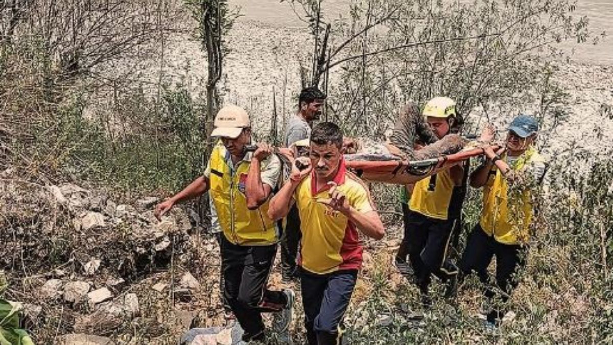 News Article Hero Image