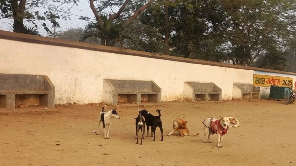 News Article Hero Image