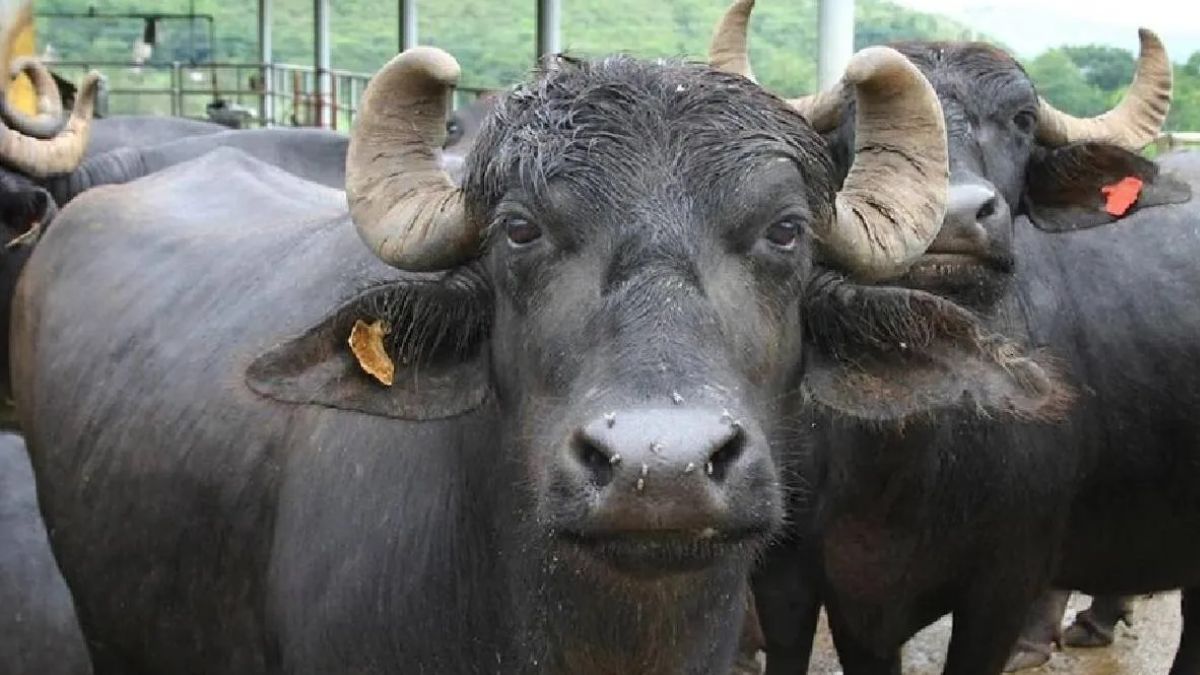 News Article Hero Image