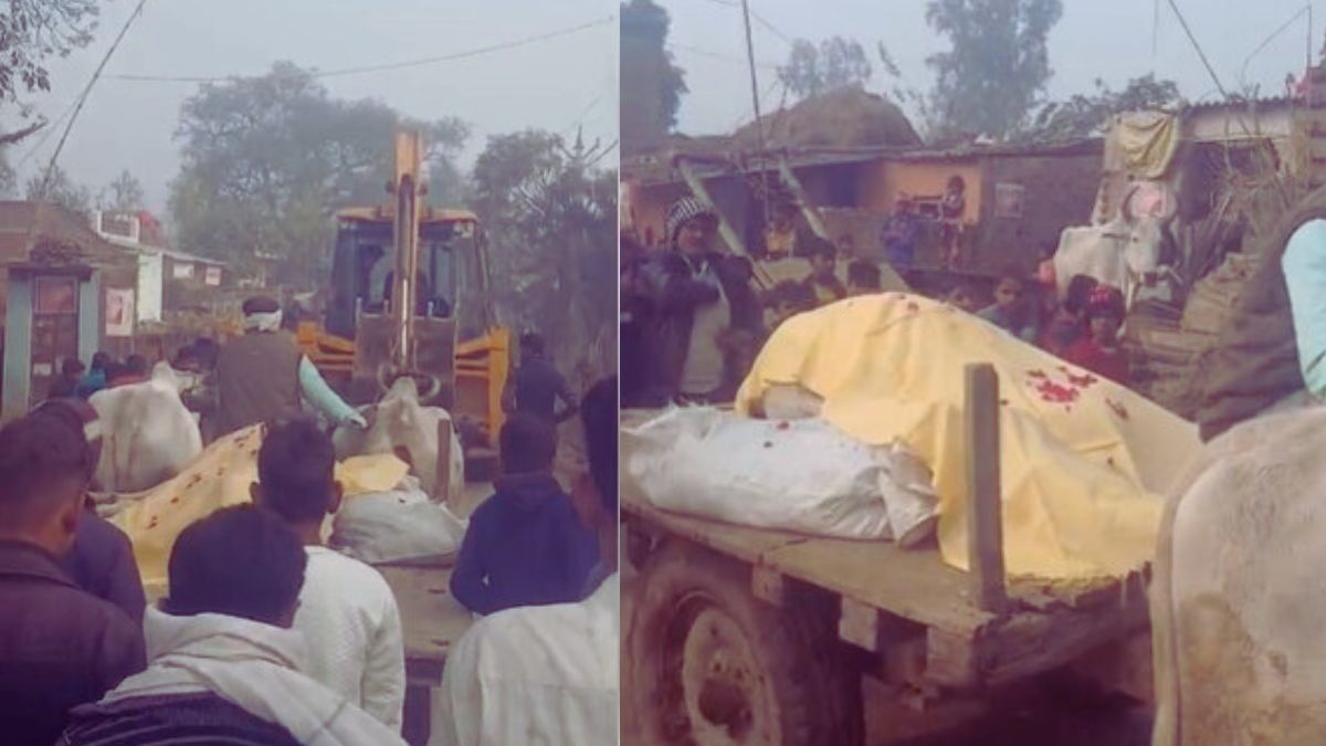 यूपी में 20 साल तक परिवार का हिस्सा रही गाय की मौत पर रोया मालिक, बैंड-बाजे के साथ दी अंतिम विदाई