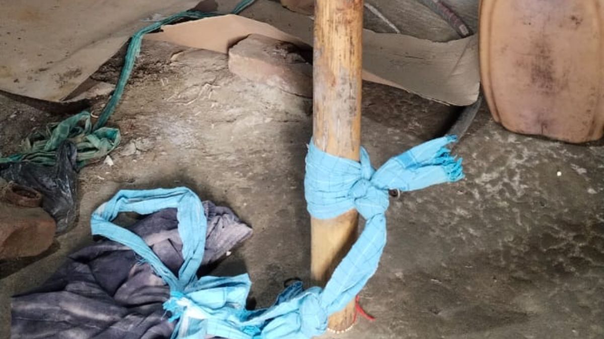 News Article Hero Image