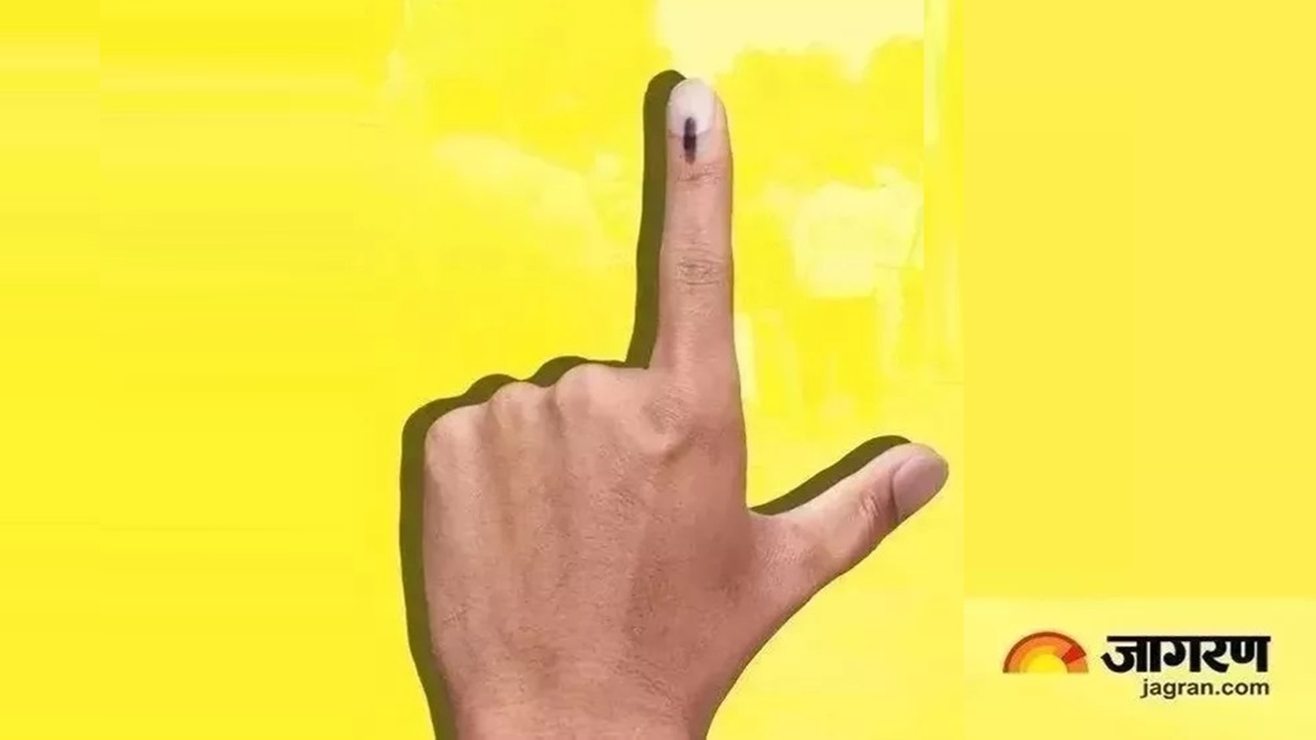 News Article Hero Image