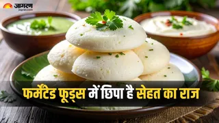 फर्मेंटेड फूड्स खाने से क्या होता है? (Picture Credit - Canva)