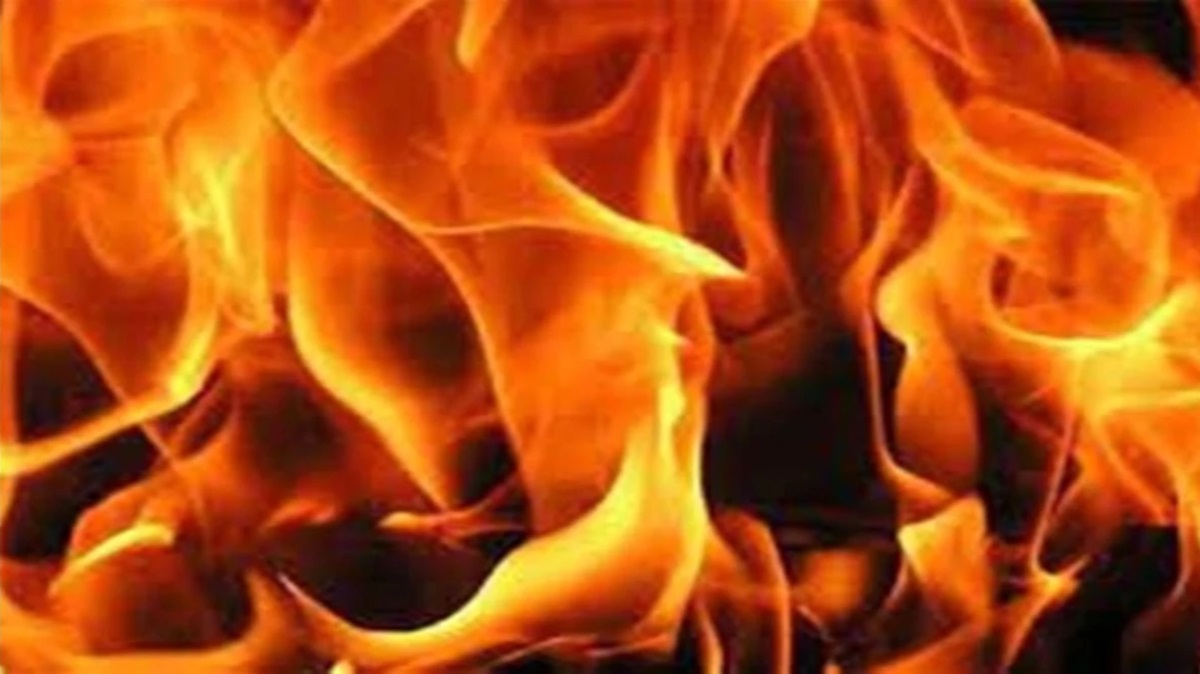 News Article Hero Image