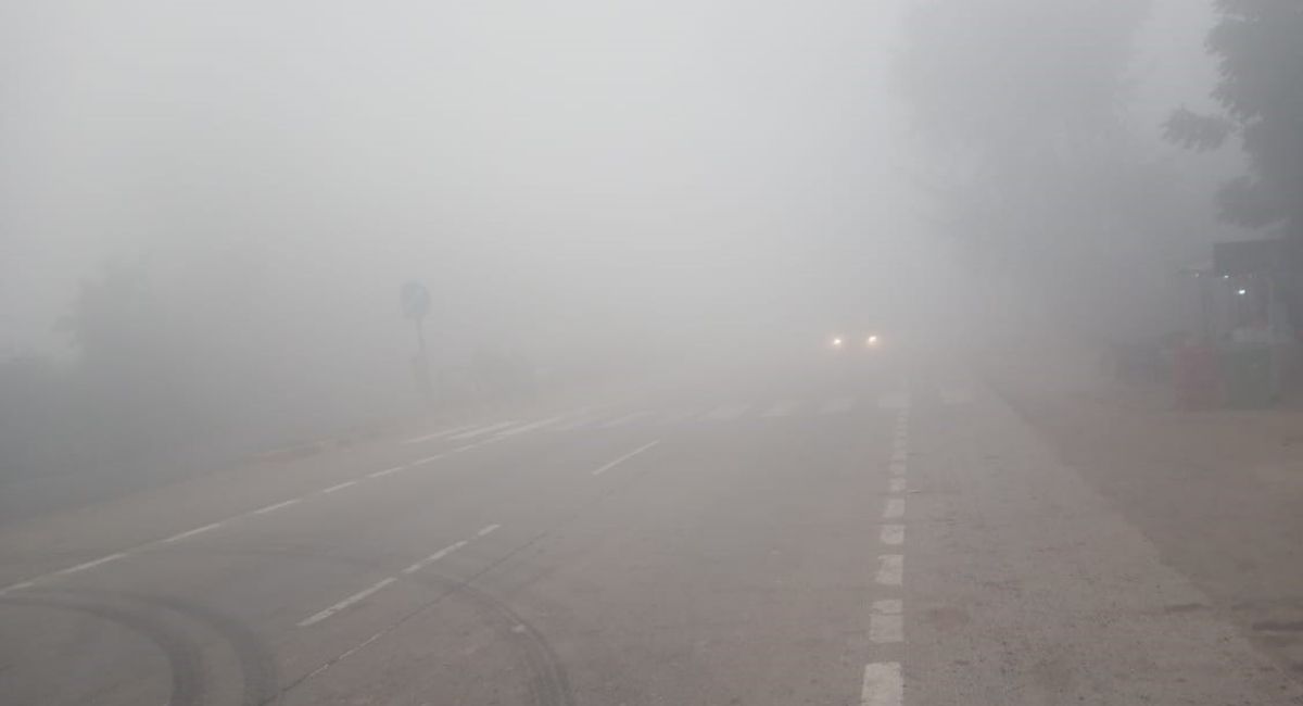 News Article Hero Image