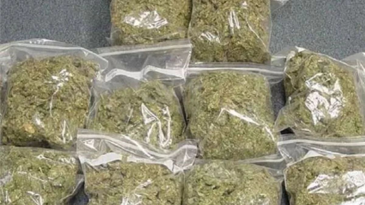 News Article Hero Image