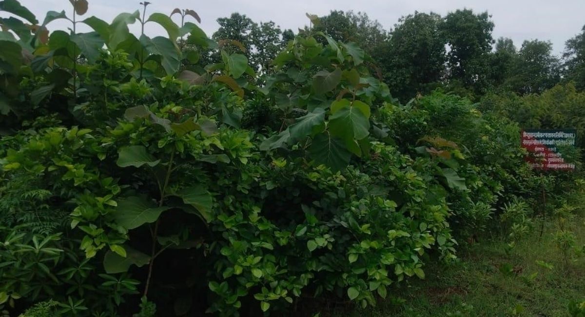 News Article Hero Image