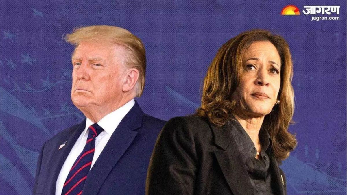 News Article Hero Image