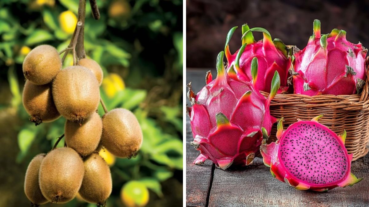 News Article Hero Image