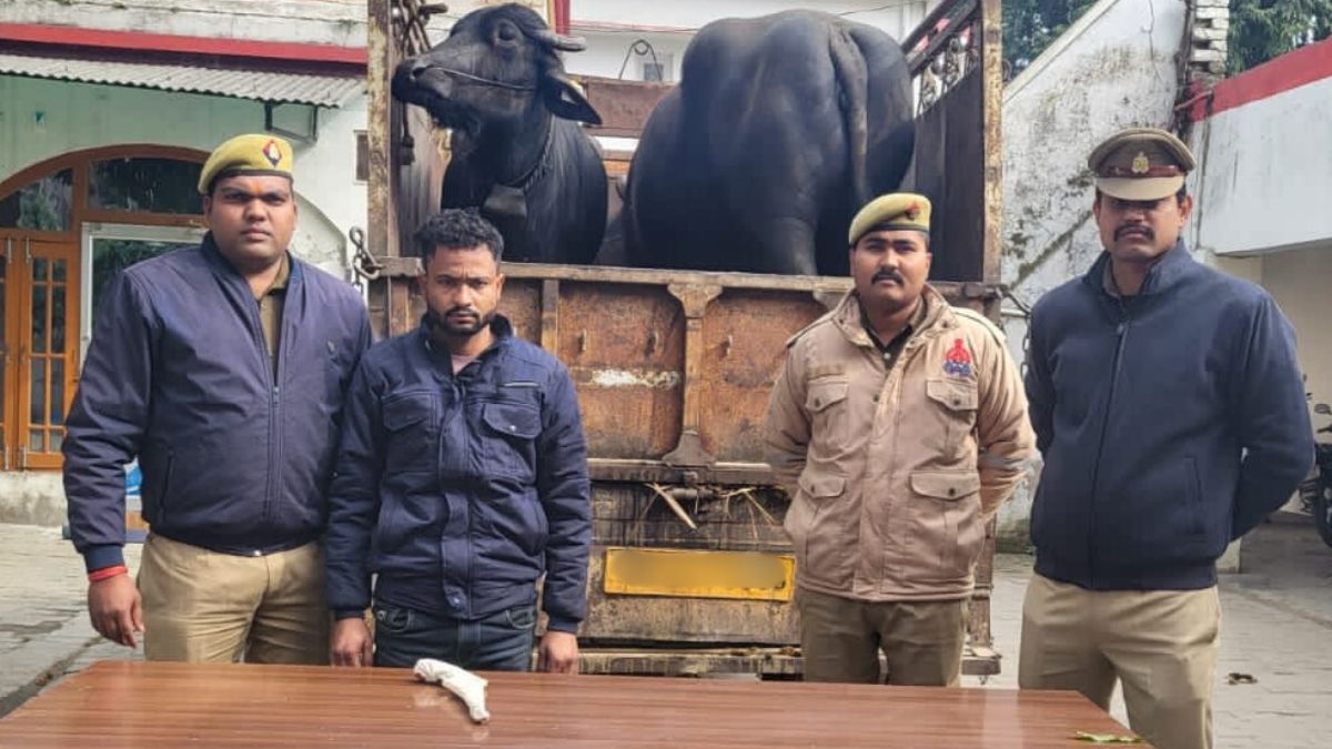 News Article Hero Image