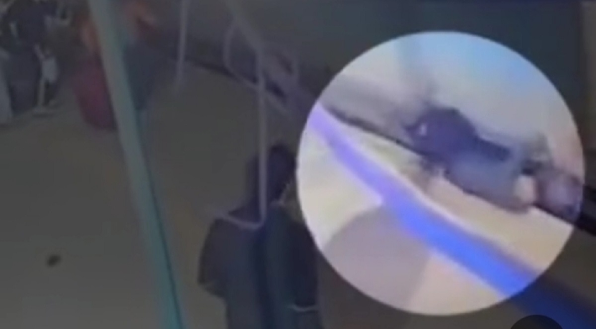 News Article Hero Image