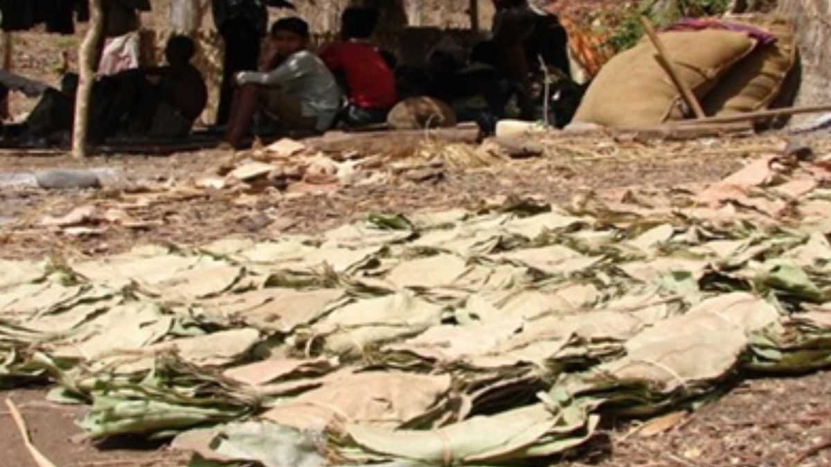 News Article Hero Image