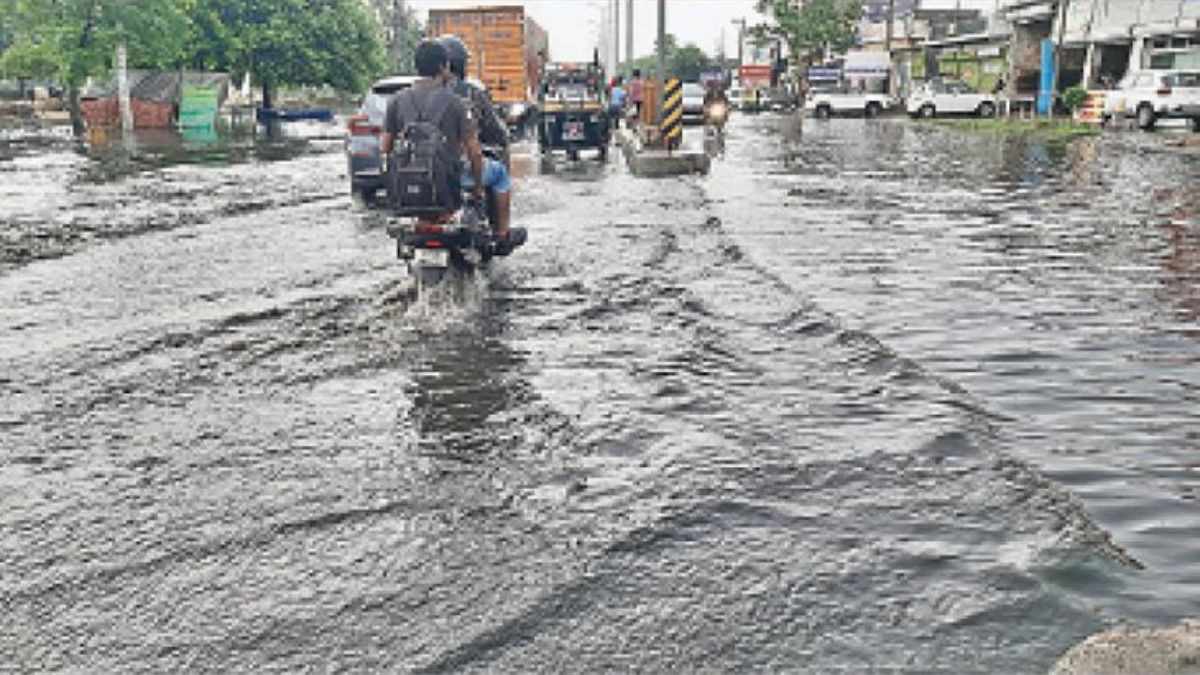 News Article Hero Image