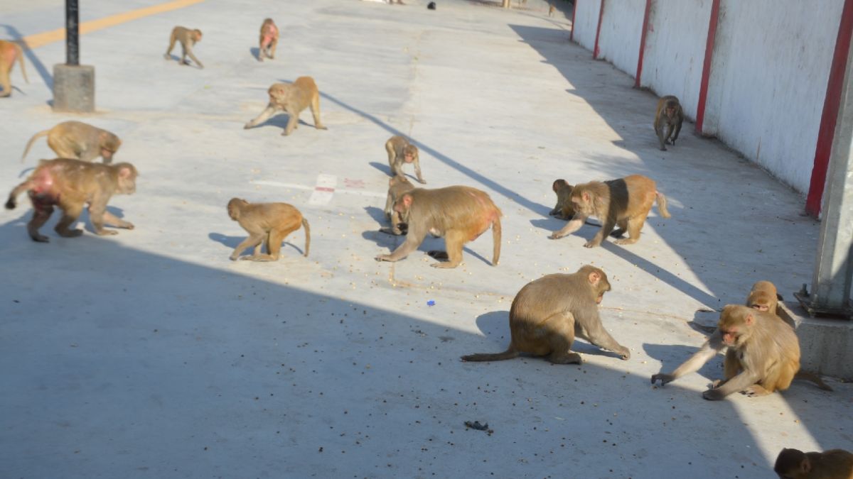 News Article Hero Image