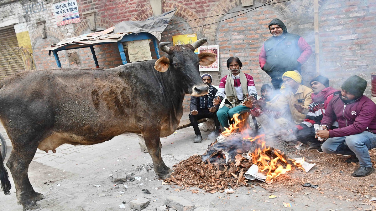 News Article Hero Image