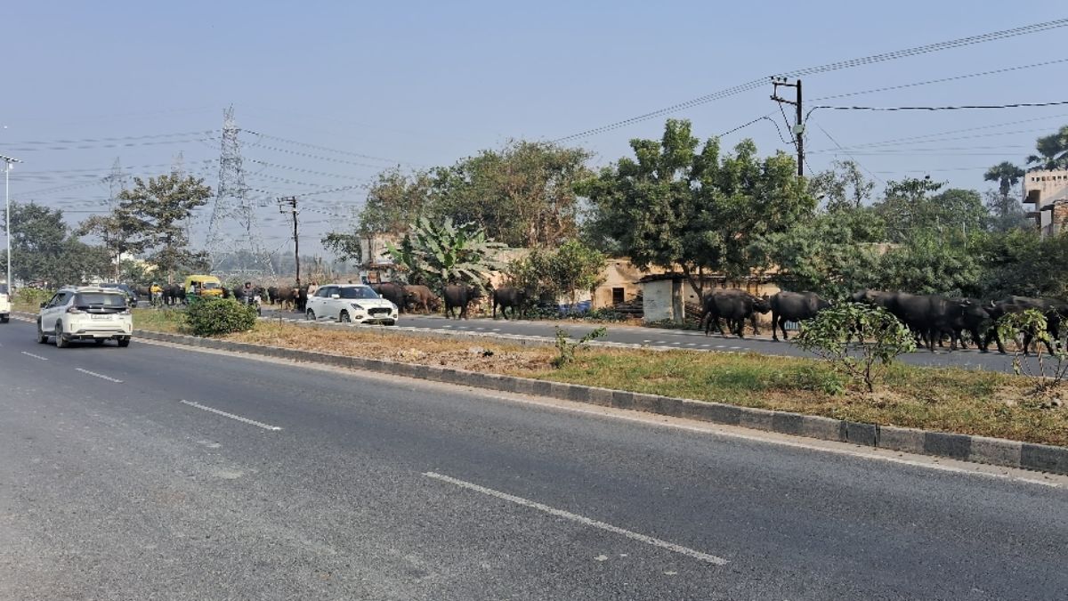 News Article Hero Image