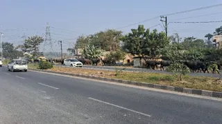पशु तस्करी का बदला रूप