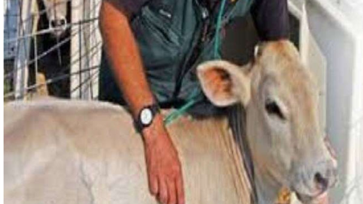 News Article Hero Image