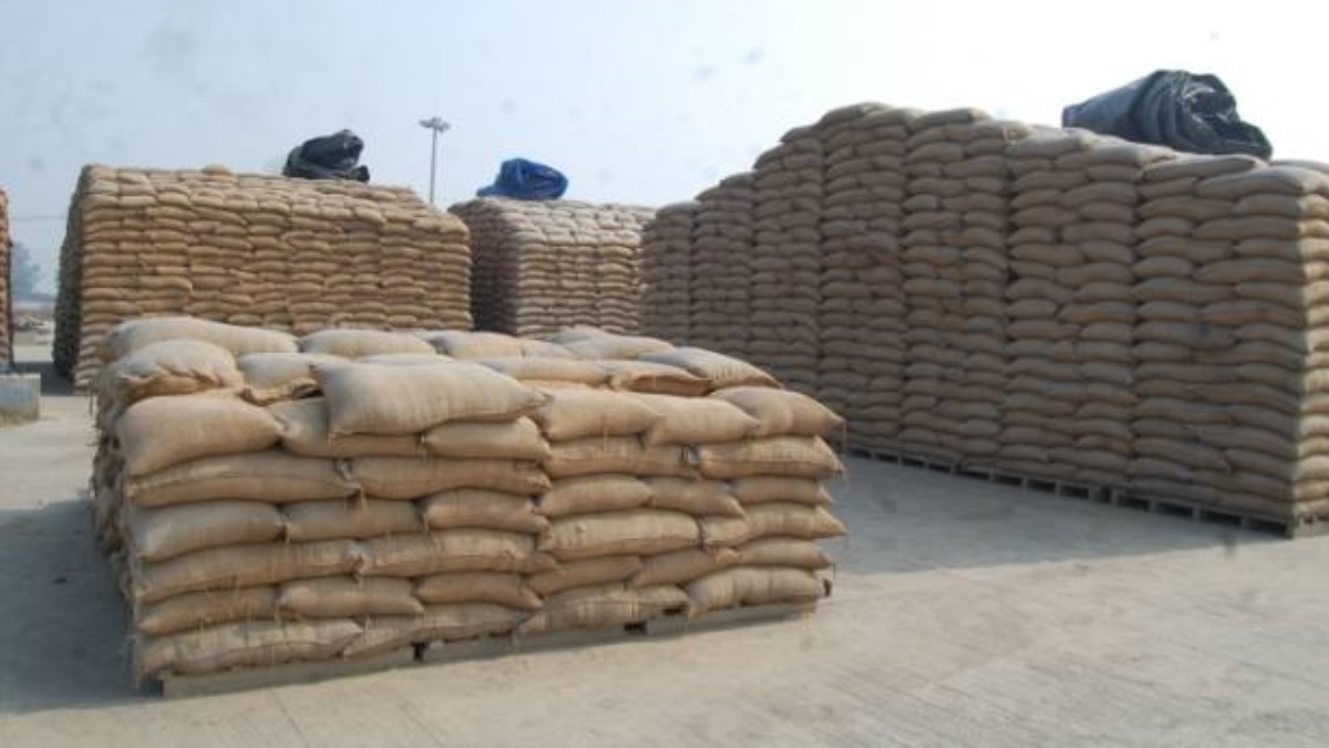 News Article Hero Image