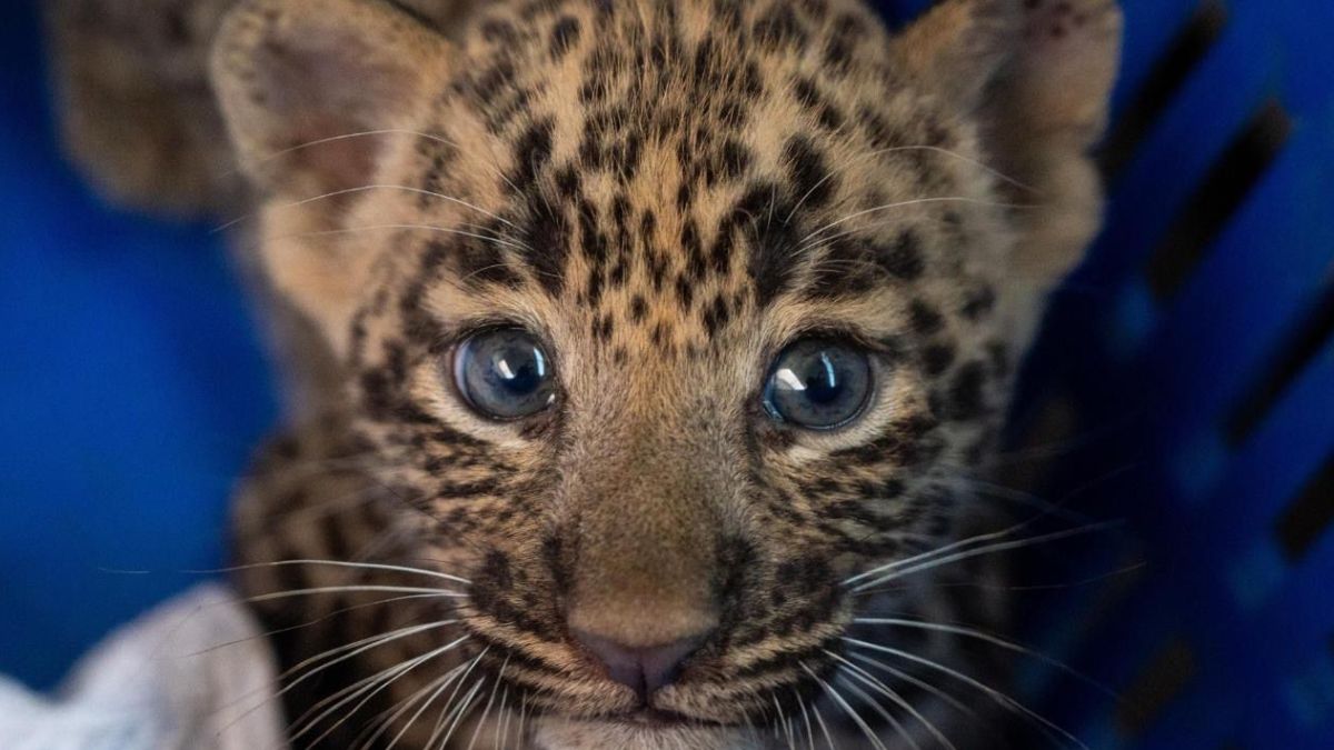 News Article Hero Image