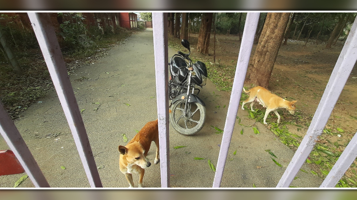 News Article Hero Image