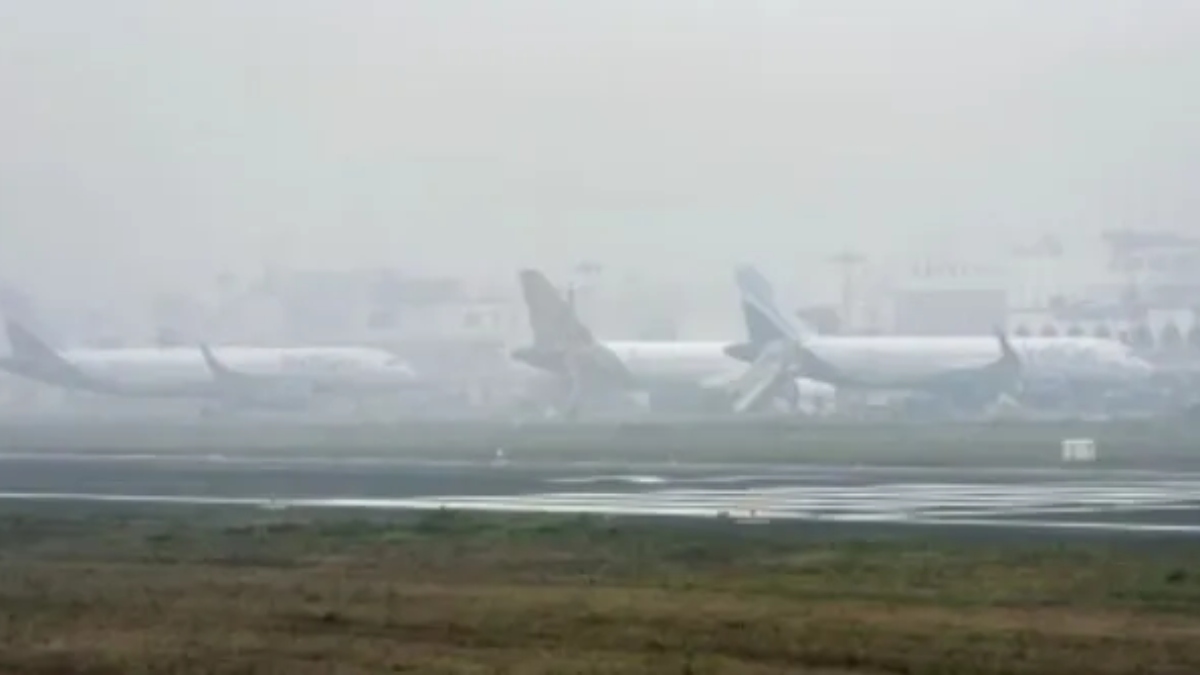 News Article Hero Image