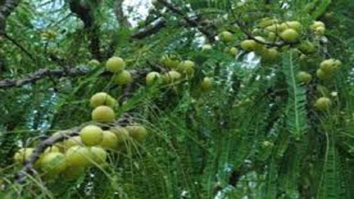 News Article Hero Image