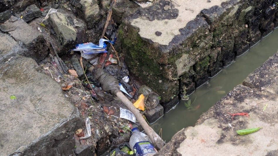 News Article Hero Image