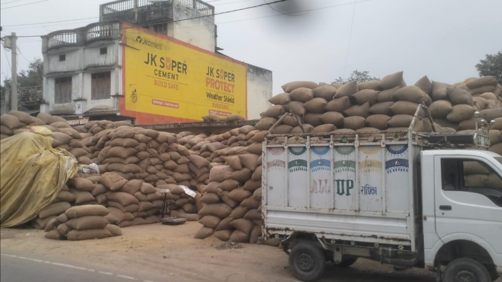 News Article Hero Image