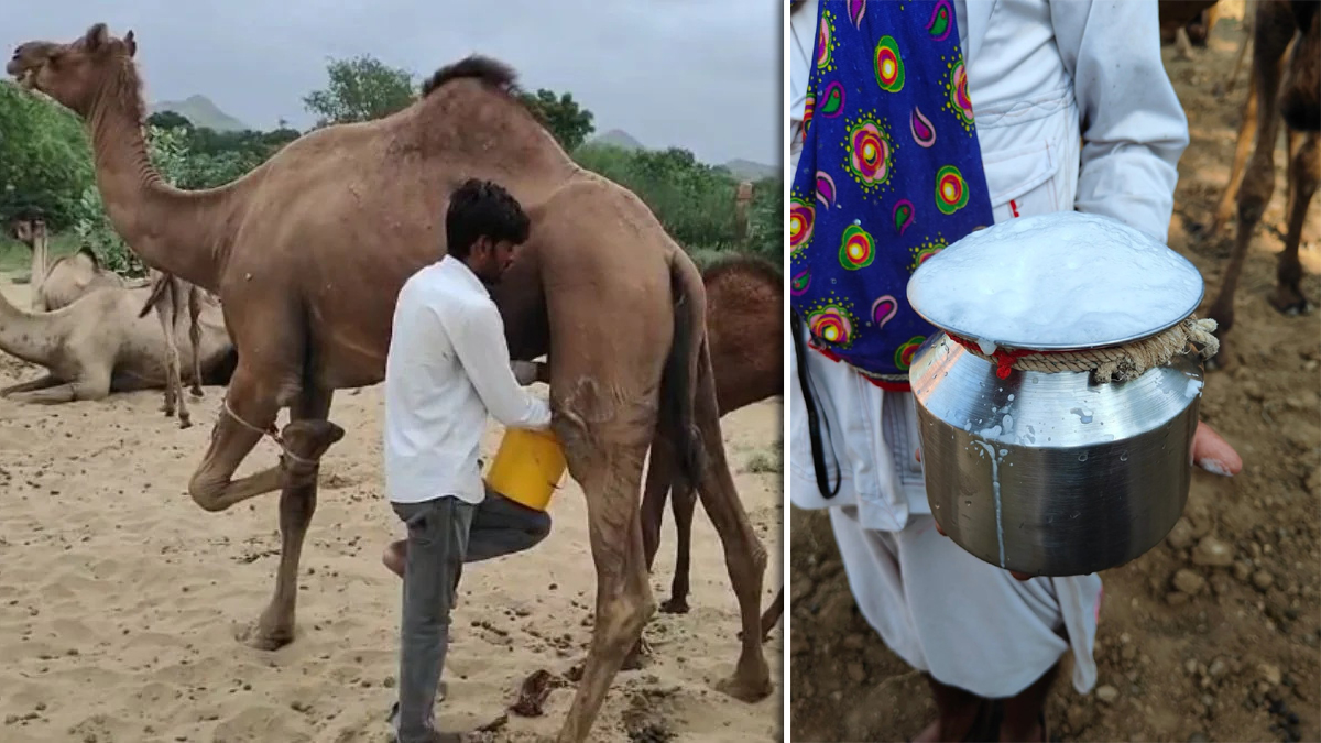 News Article Hero Image