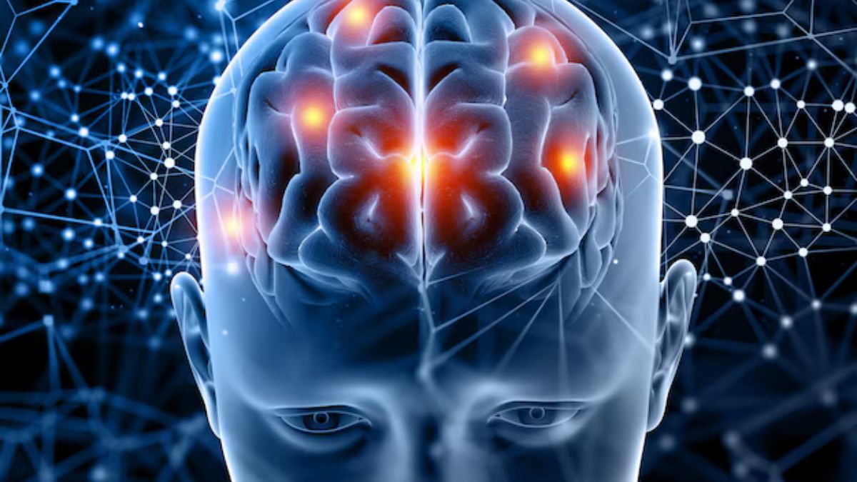 News Article Hero Image